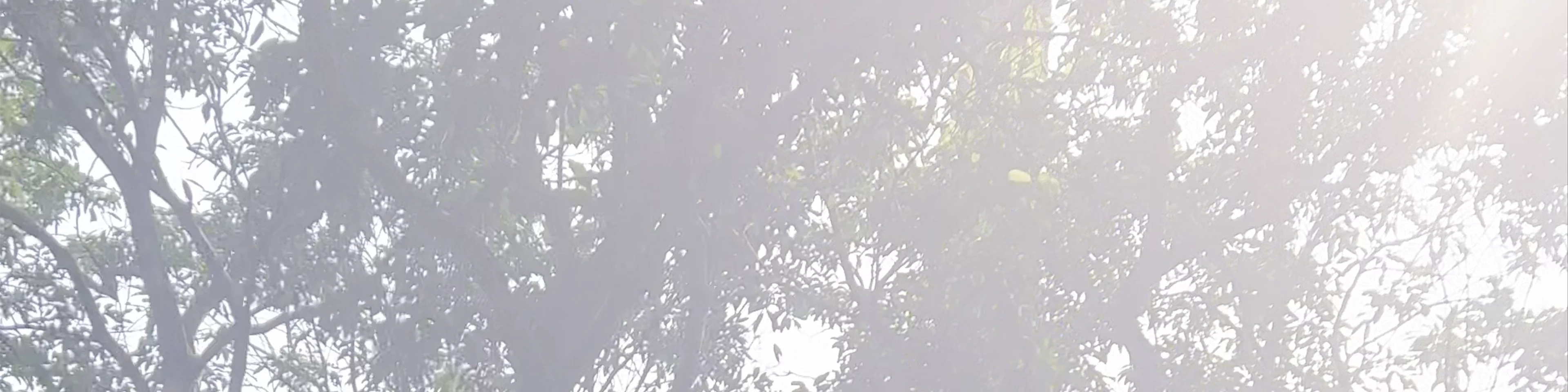 Tad Mok Waterfall Huai Kaeo