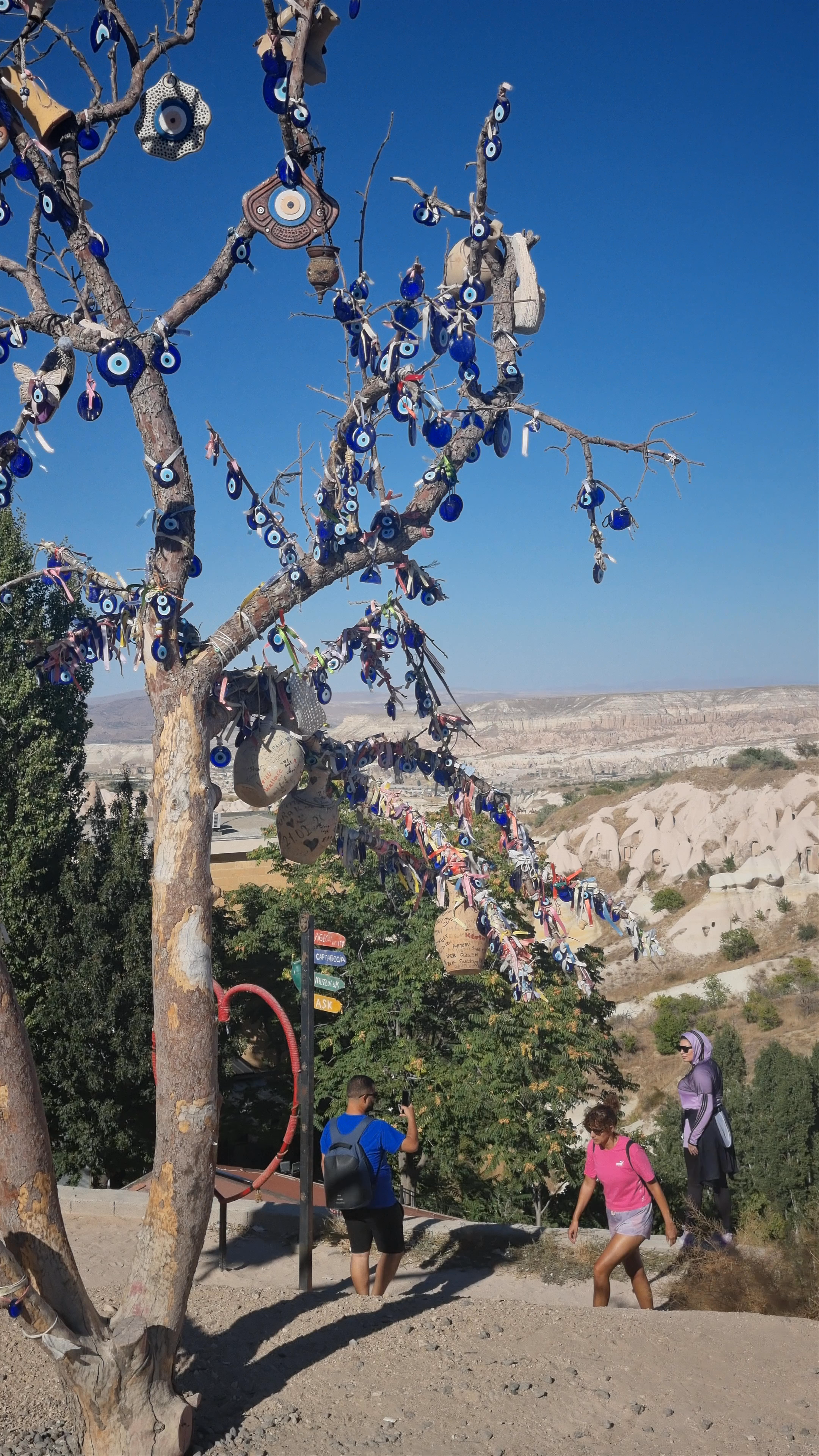 Aşağı