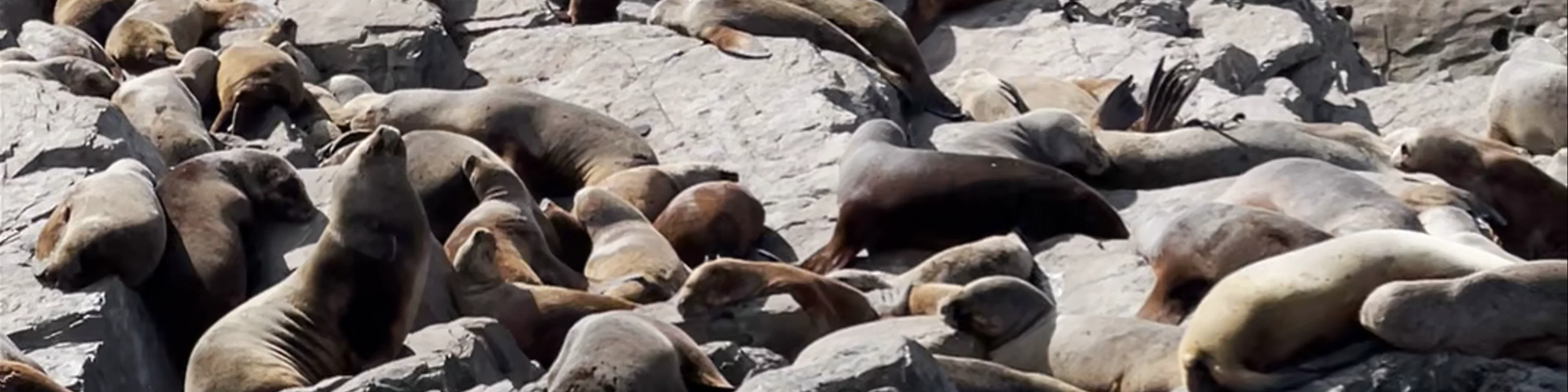 Canal De Beagle