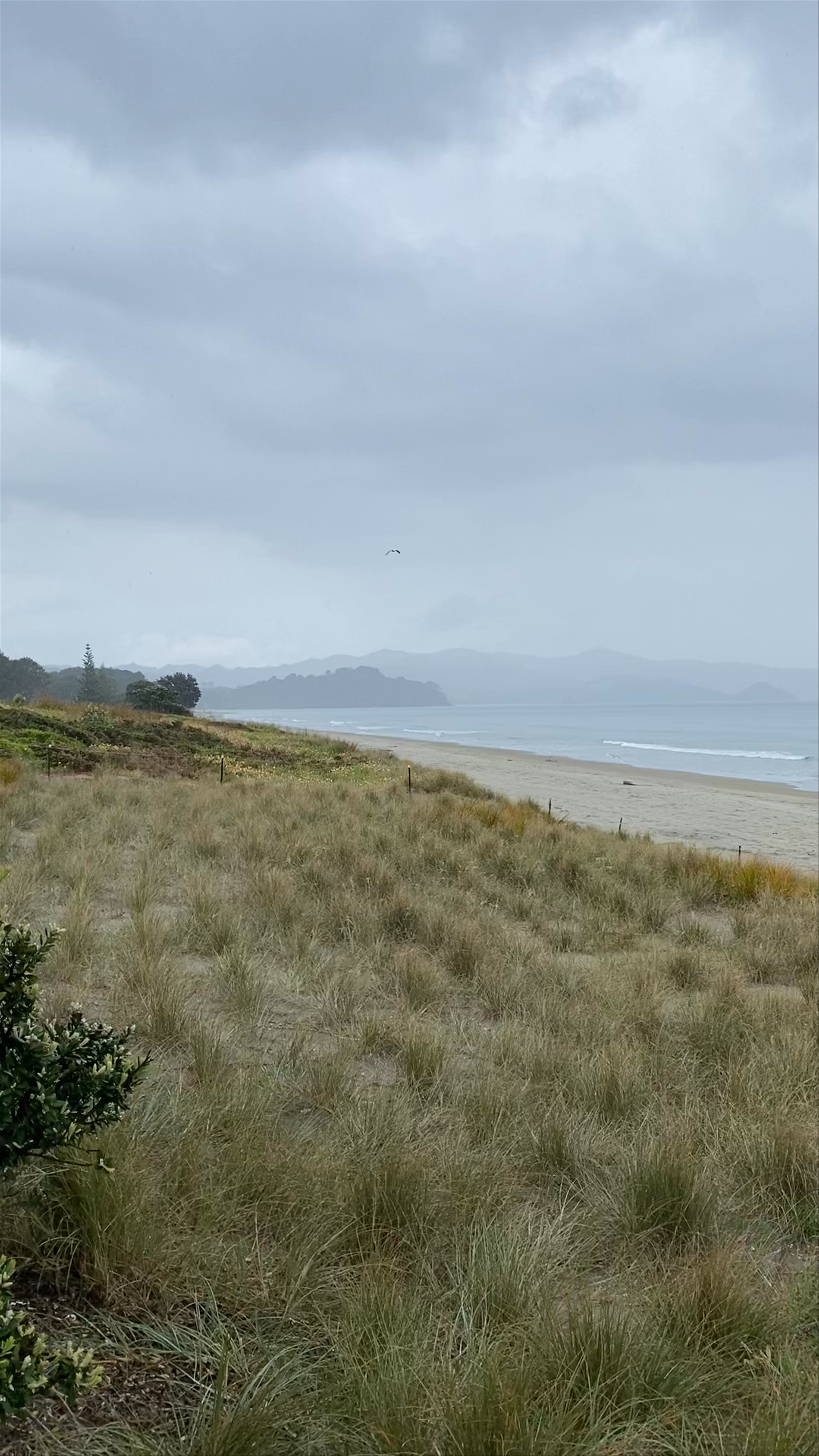 Matarangi Beach