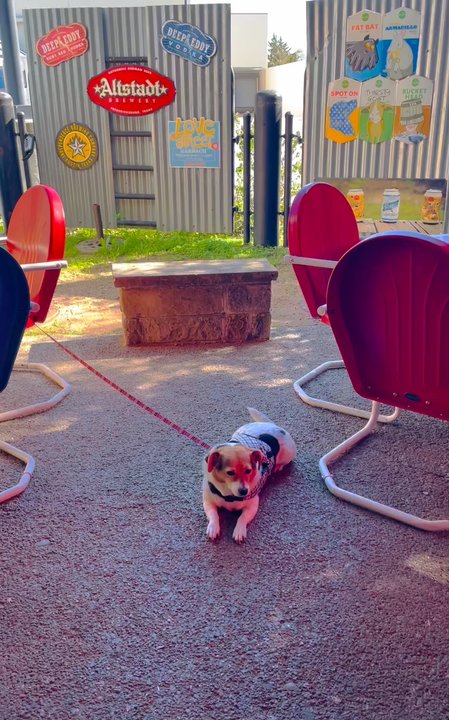 Doc's Backyard Grill - Paw Friendly Patio - American Near Me - Sunset Valley, Texas