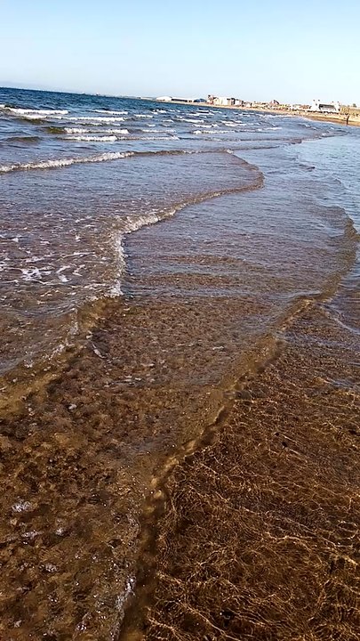 Horizon Hotel - The beach across the road - Hotels Near Me - Ayr, SAY