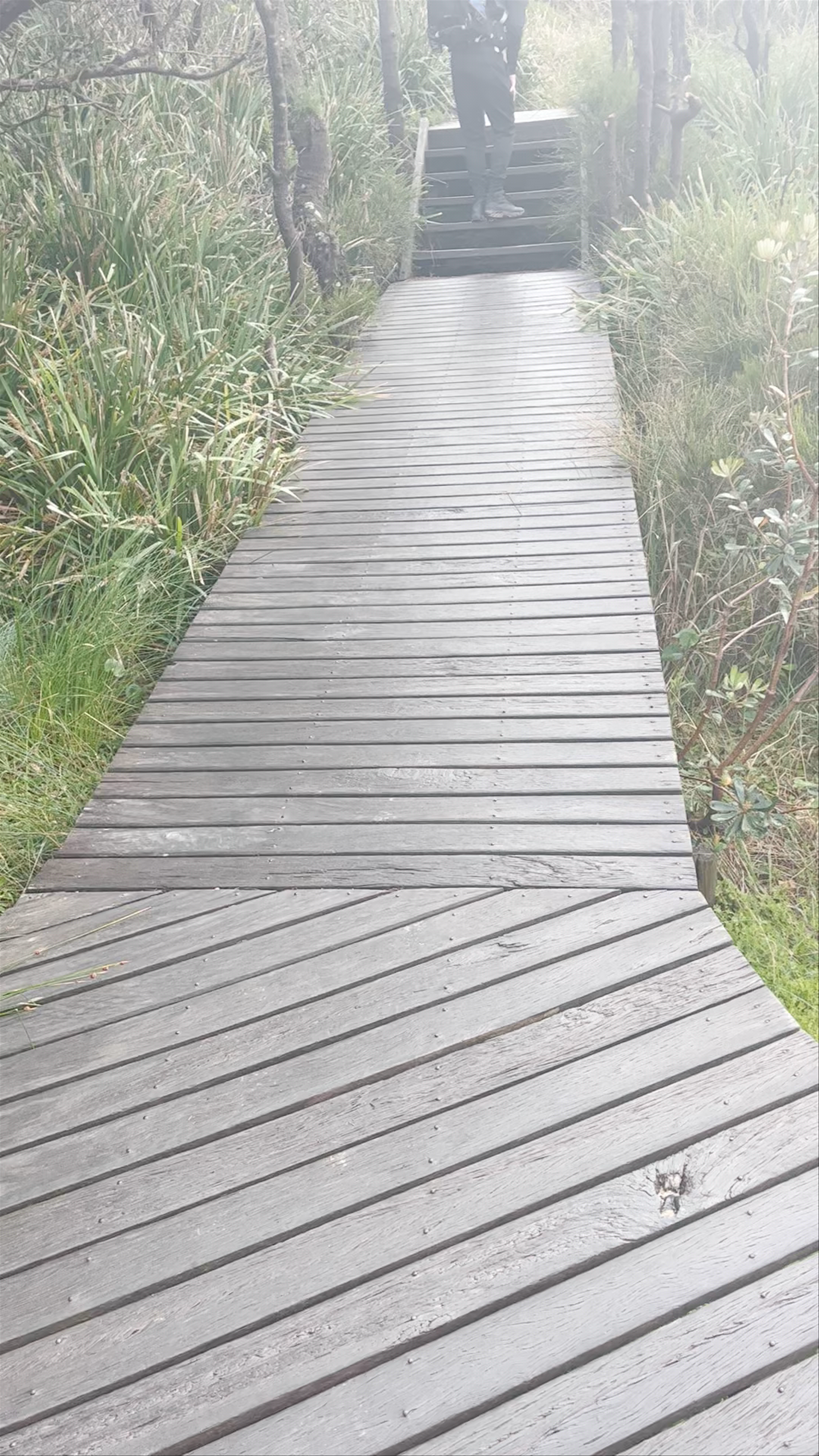 Bullimah Outlook Walk: Rugged Coastal Beauty at Bouddi