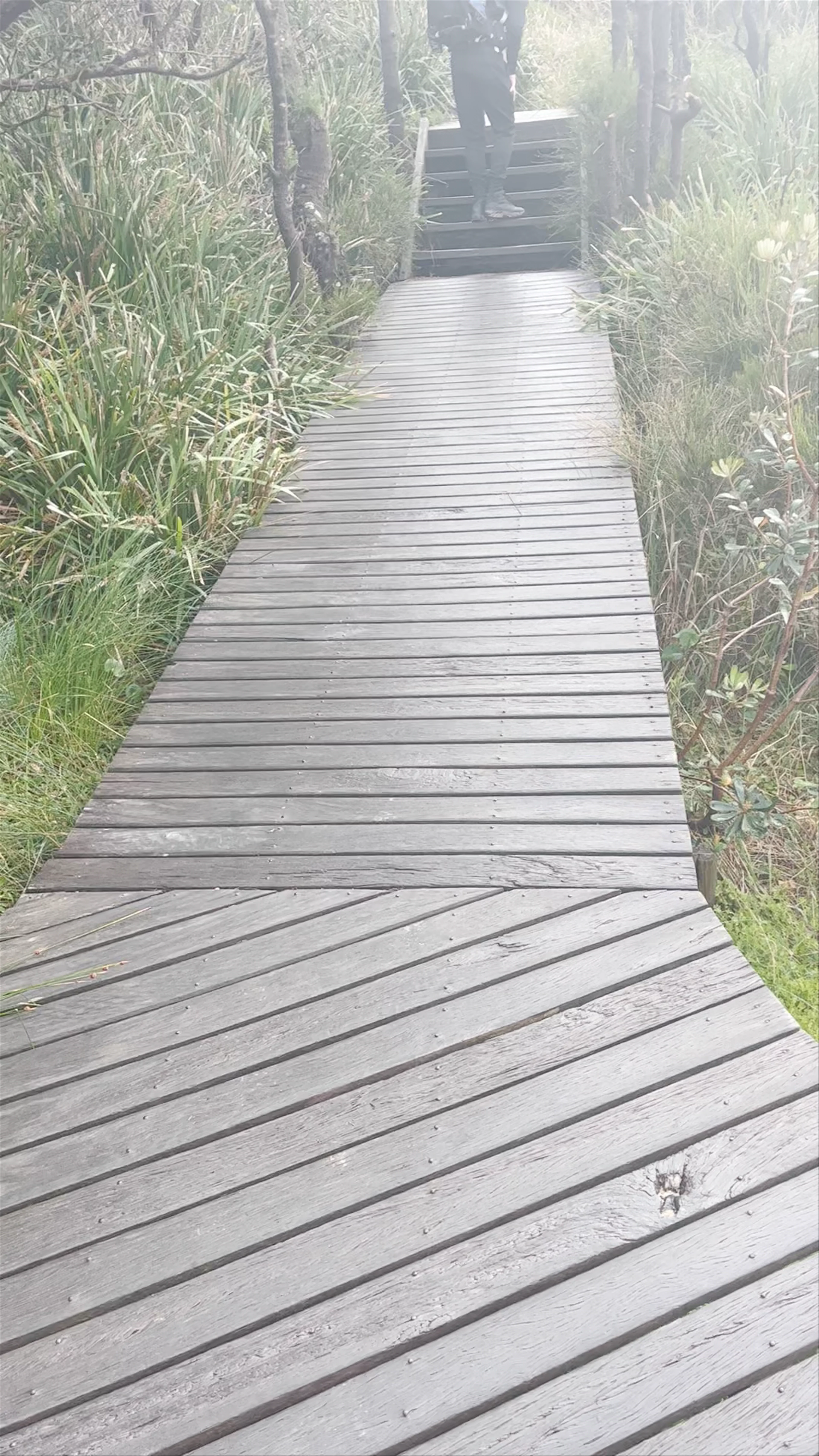 Bullimah Outlook, Bullimah Spur Walking Track