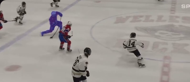 Matthew Radoslovich: Highlight Reel from LI Gulls vs. Rochester Coalition