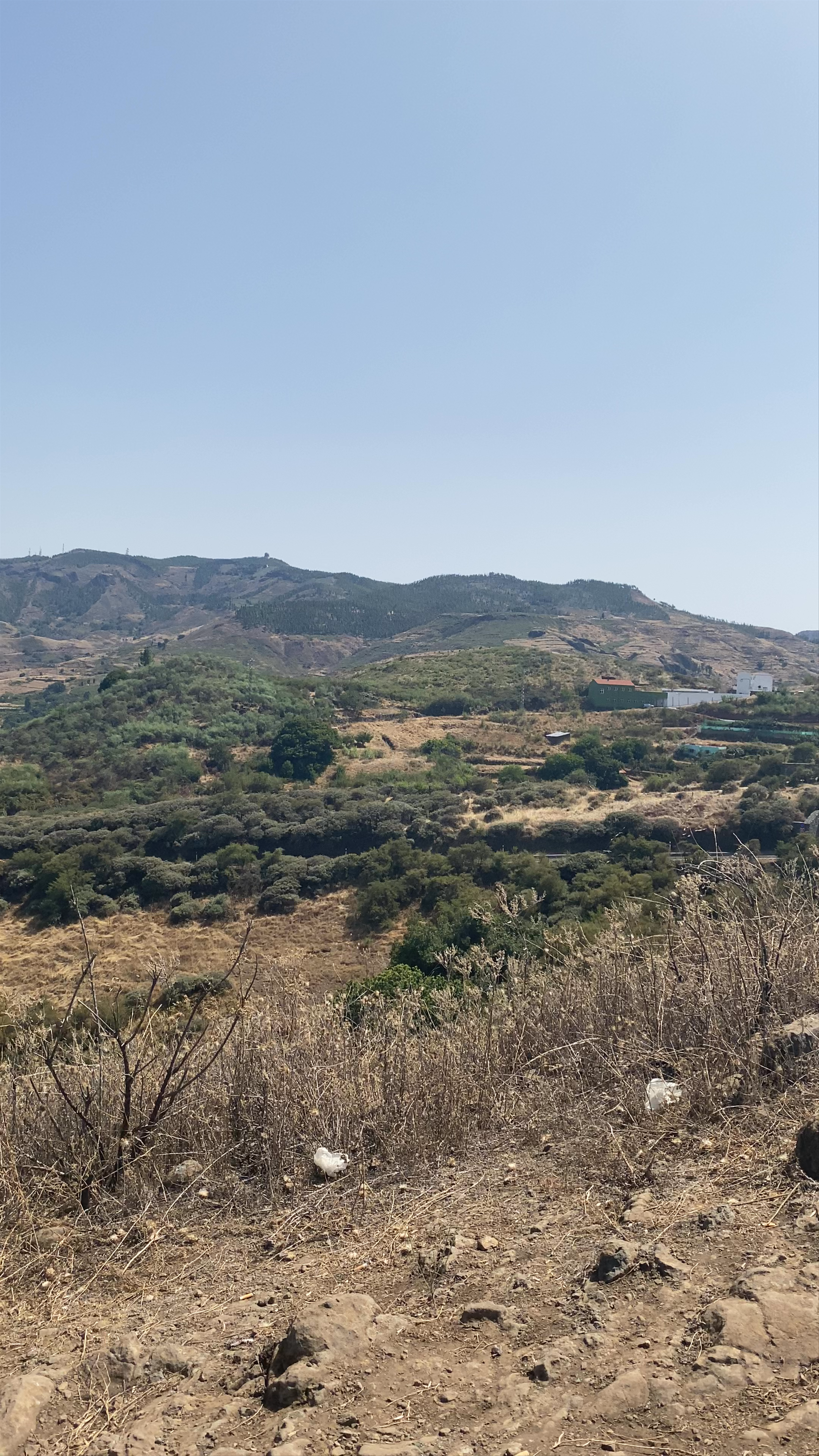 Mirador