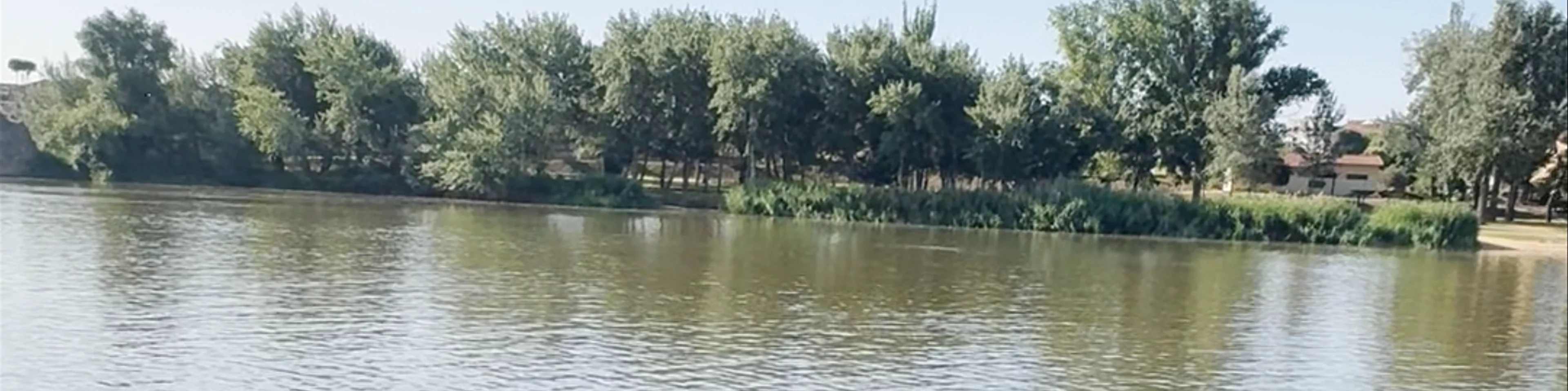Paseos en barca por el Duero