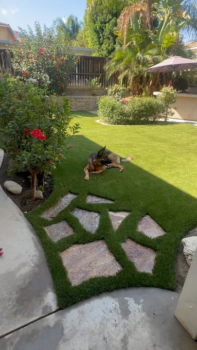 Ecoworkz - Backyard - Landscape Architects or Designers Near Me - Corona, California
