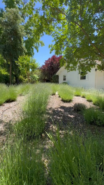 Ru's Farm - The Coop (house on property) - Venues & Event Spaces Near Me - Healdsburg, California