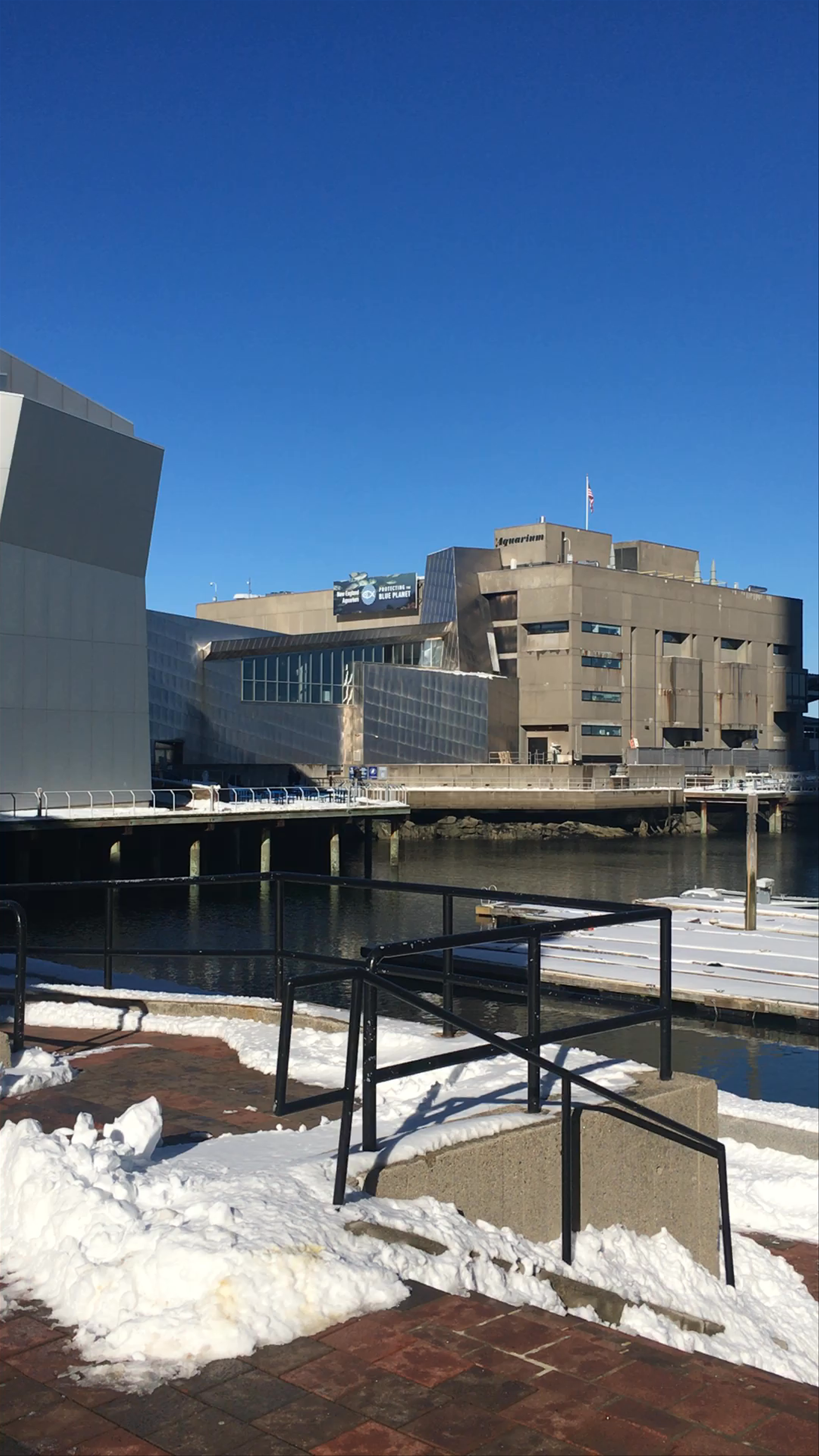 Boston Aquarium Winter Walk: Crisp Waterfront Views and Urban Serenity
