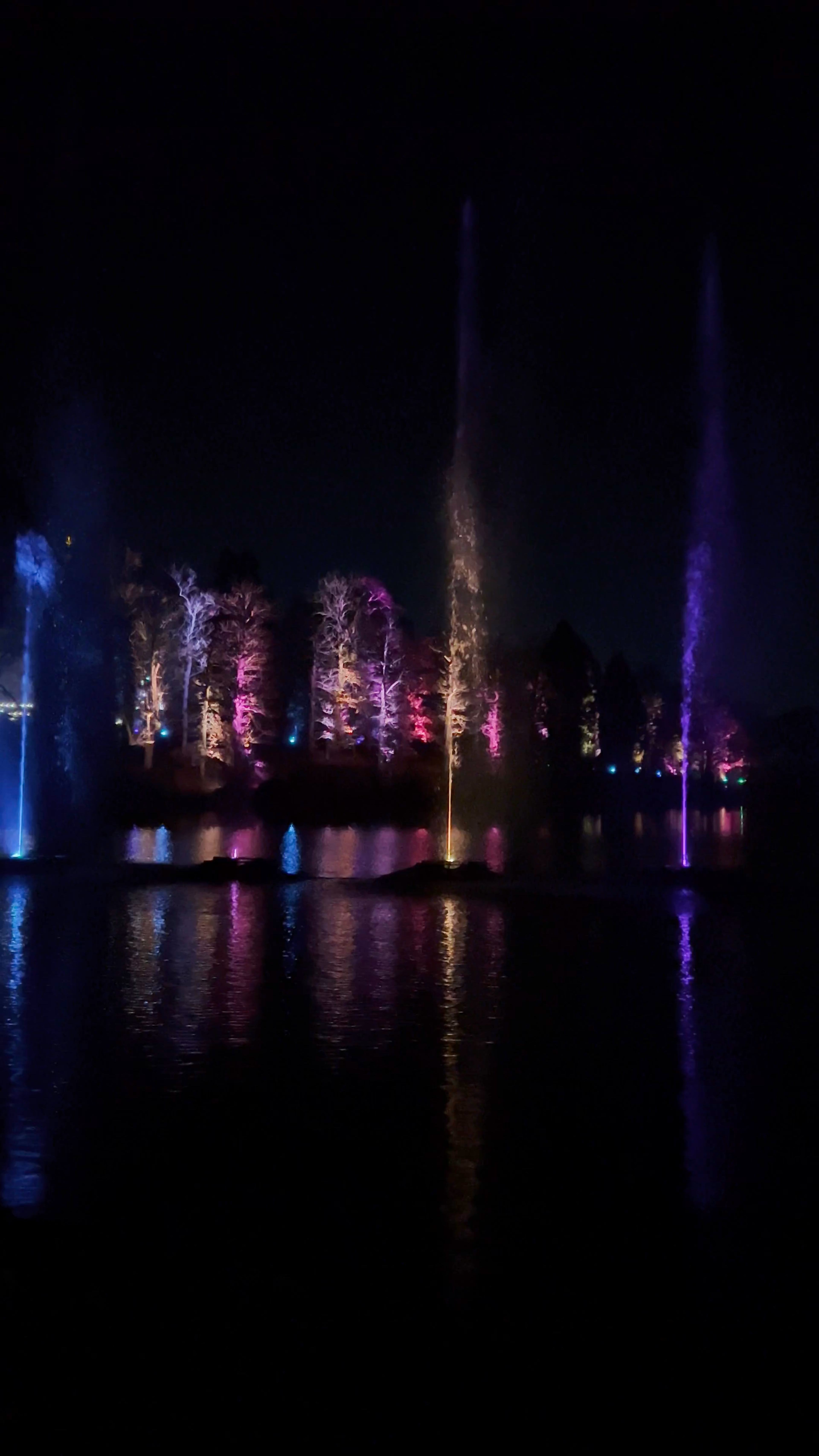 Windsor Great Park Illuminated