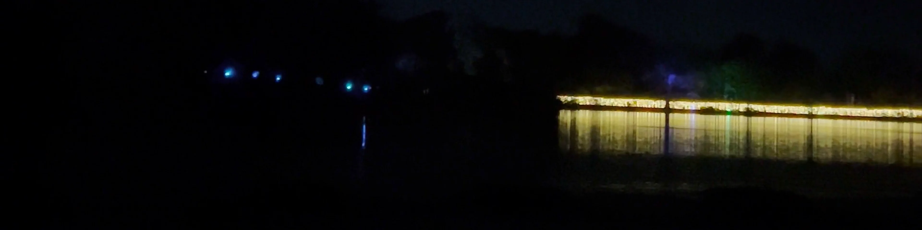 Windsor Great Park Illuminated