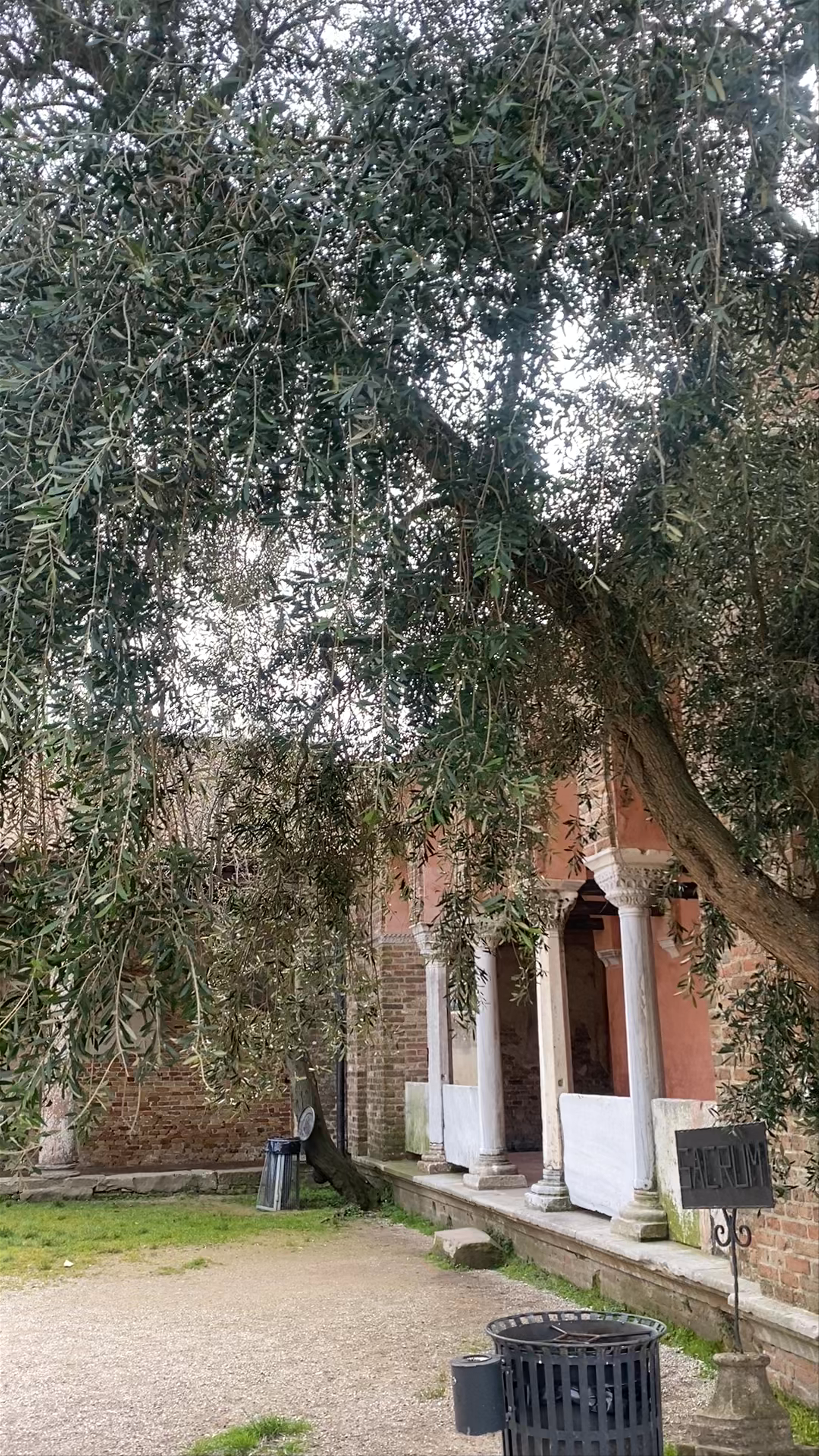 Basilica di Santa Maria Assunta