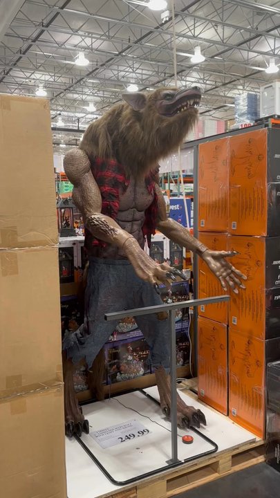 Costco Wholesale - Tall creepy werewolf }:{ - Wholesale Stores Near Me - Webster, Texas