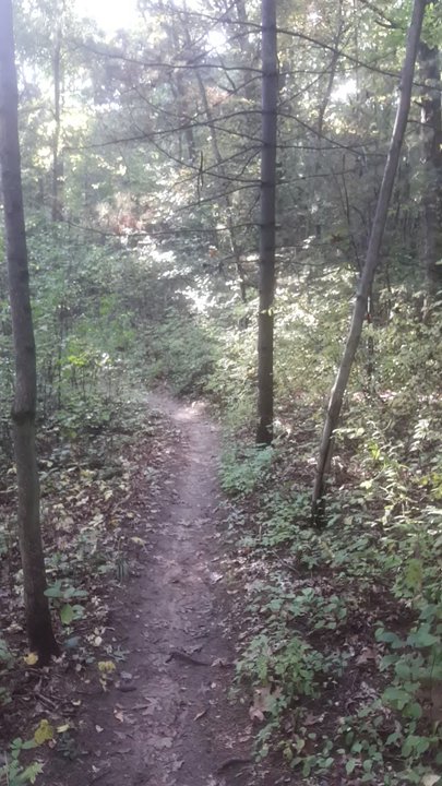 Brighton State Recreation Area - Hiking Near Me - Howell, Michigan