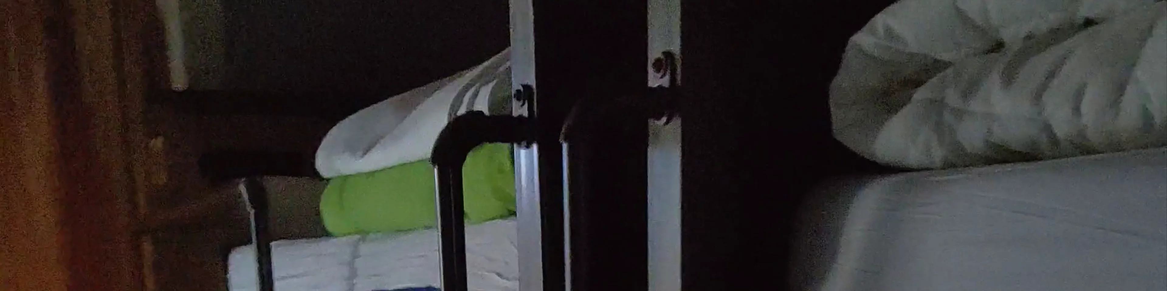 Cats Hostel Porto