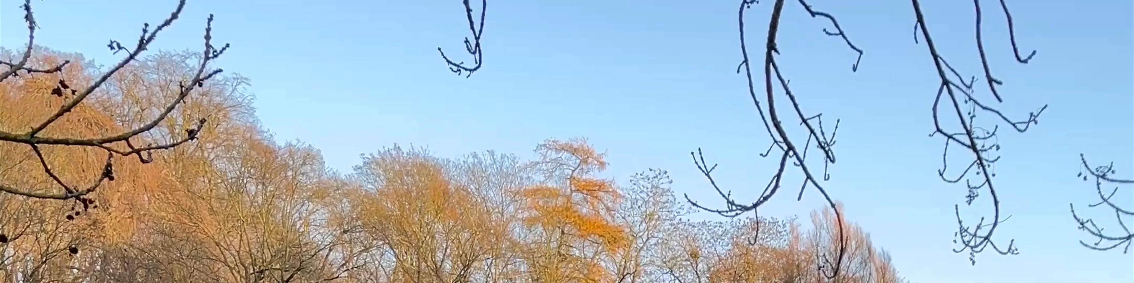 Rusałka