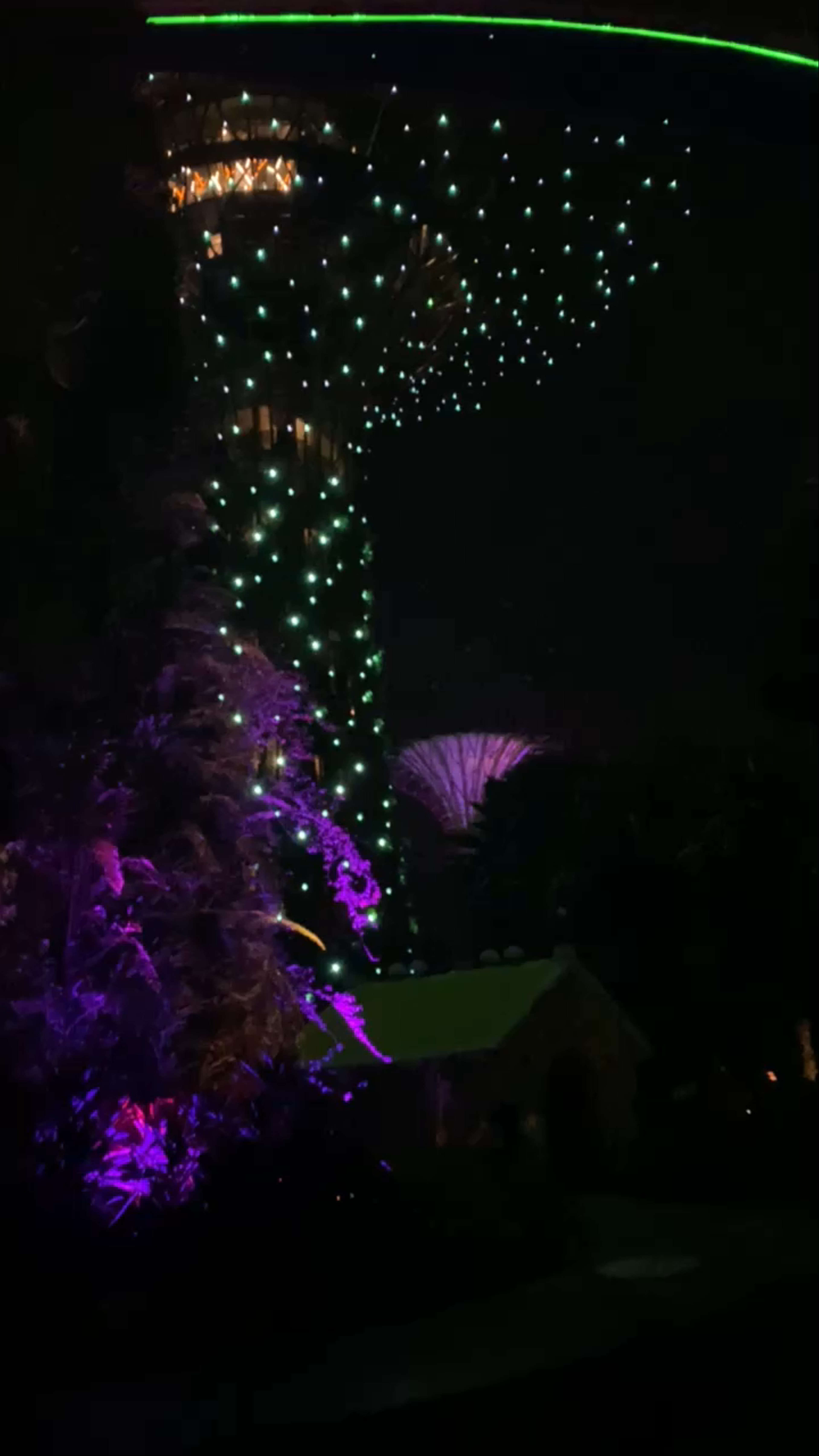 Night Magic at Gardens by the Bay, Singapore