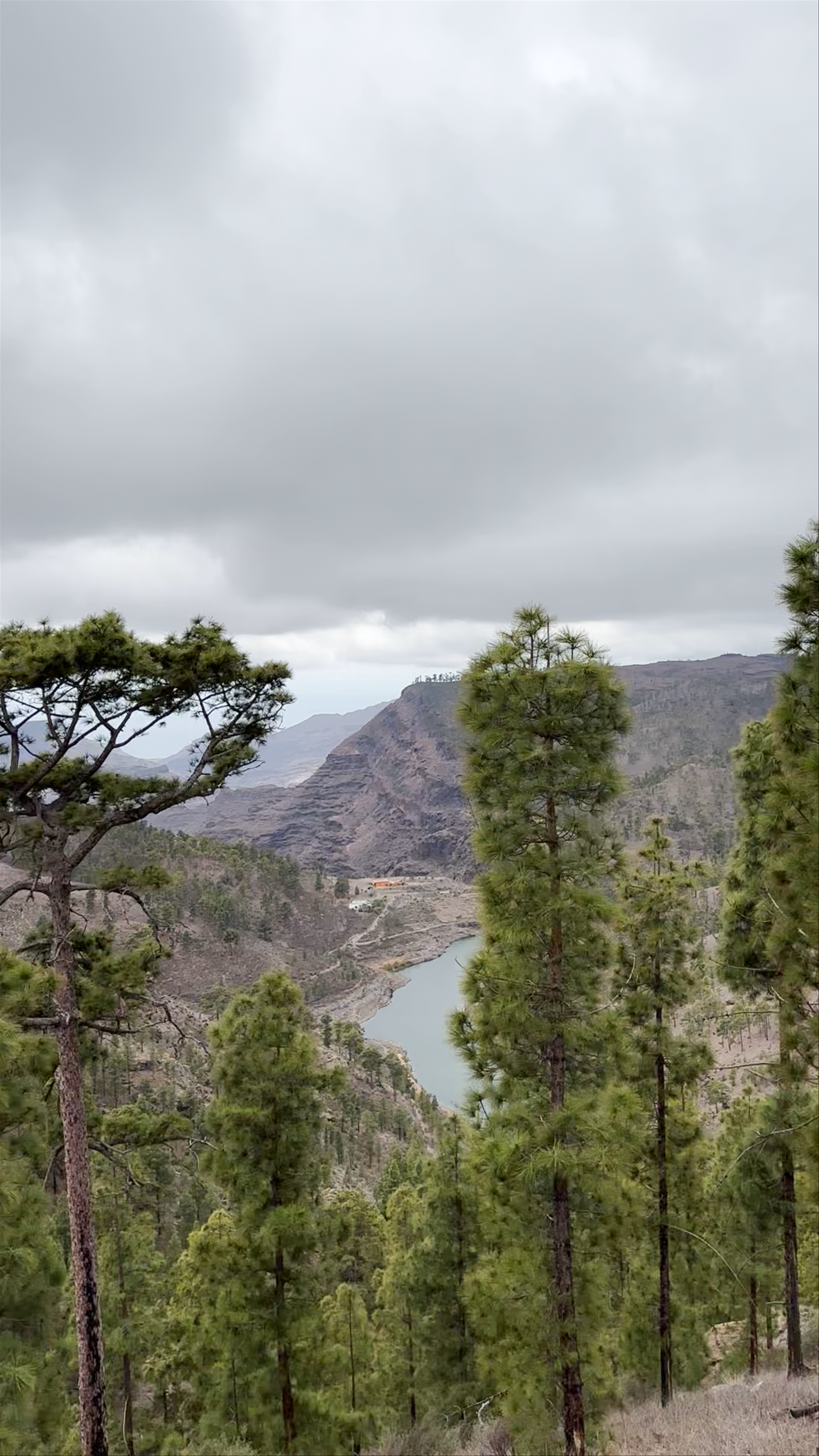 Dramatic Mountain Views and Pine Forests at Cruz De San Antonio, Tejeda