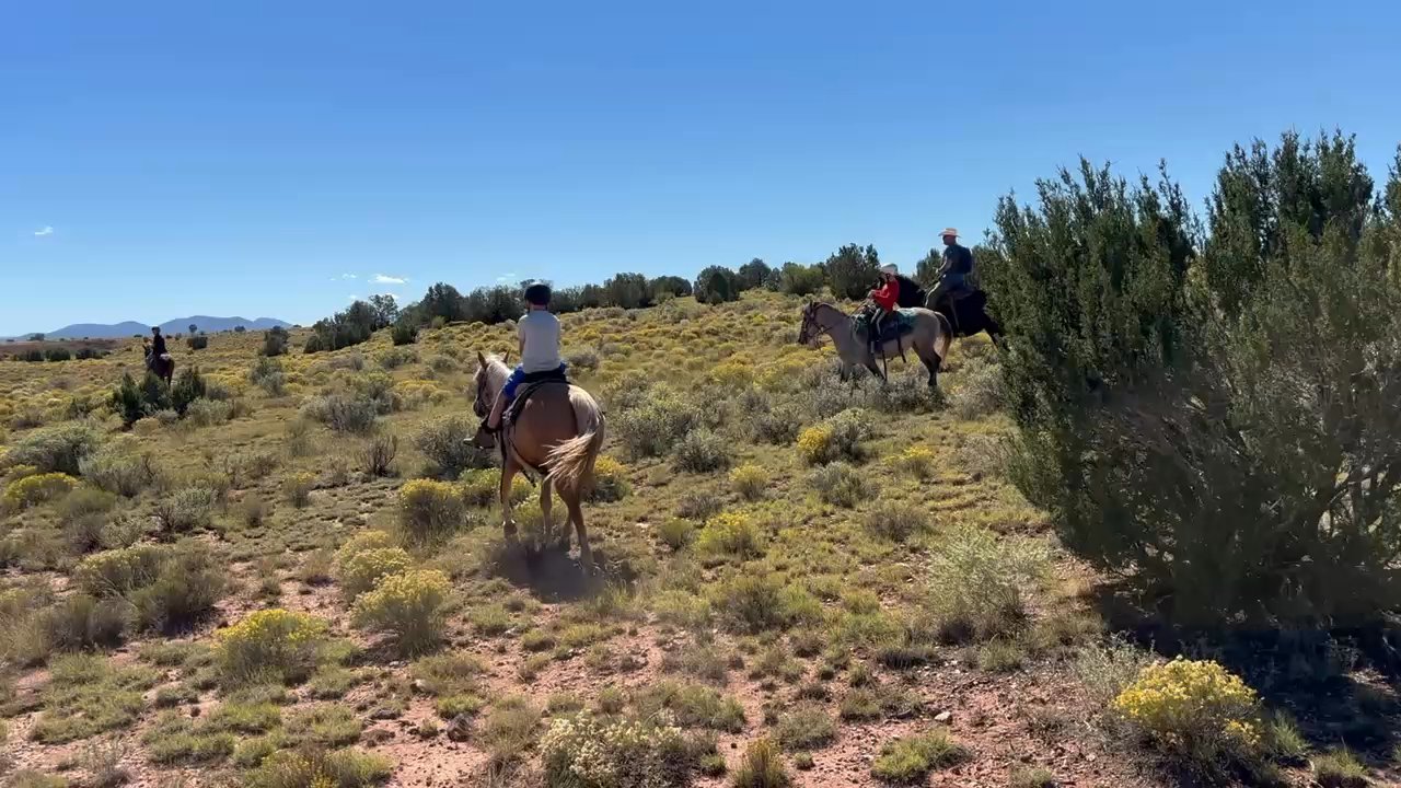 Red Rock Horse Ranch - Visitor Centers Near Me - Williams, Arizona