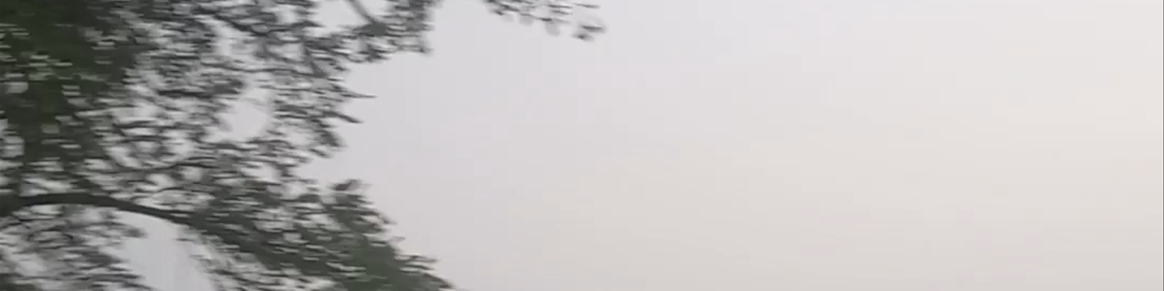 Siemréab