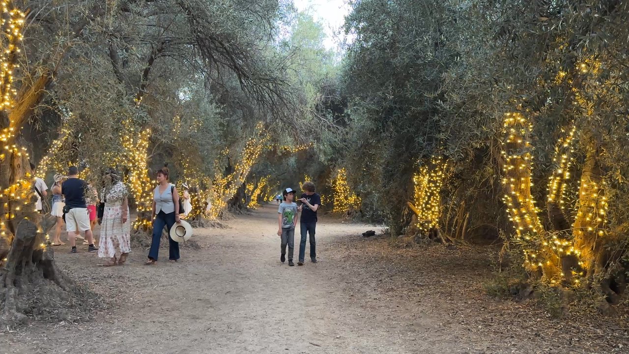 Lavender Nights - So many lights for so many photo opportunities. - Festivals Near Me - Cherry Valley, California
