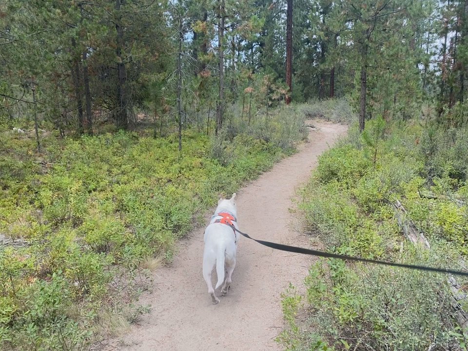 LaPine State Park - Parks Near Me - La Pine, Oregon