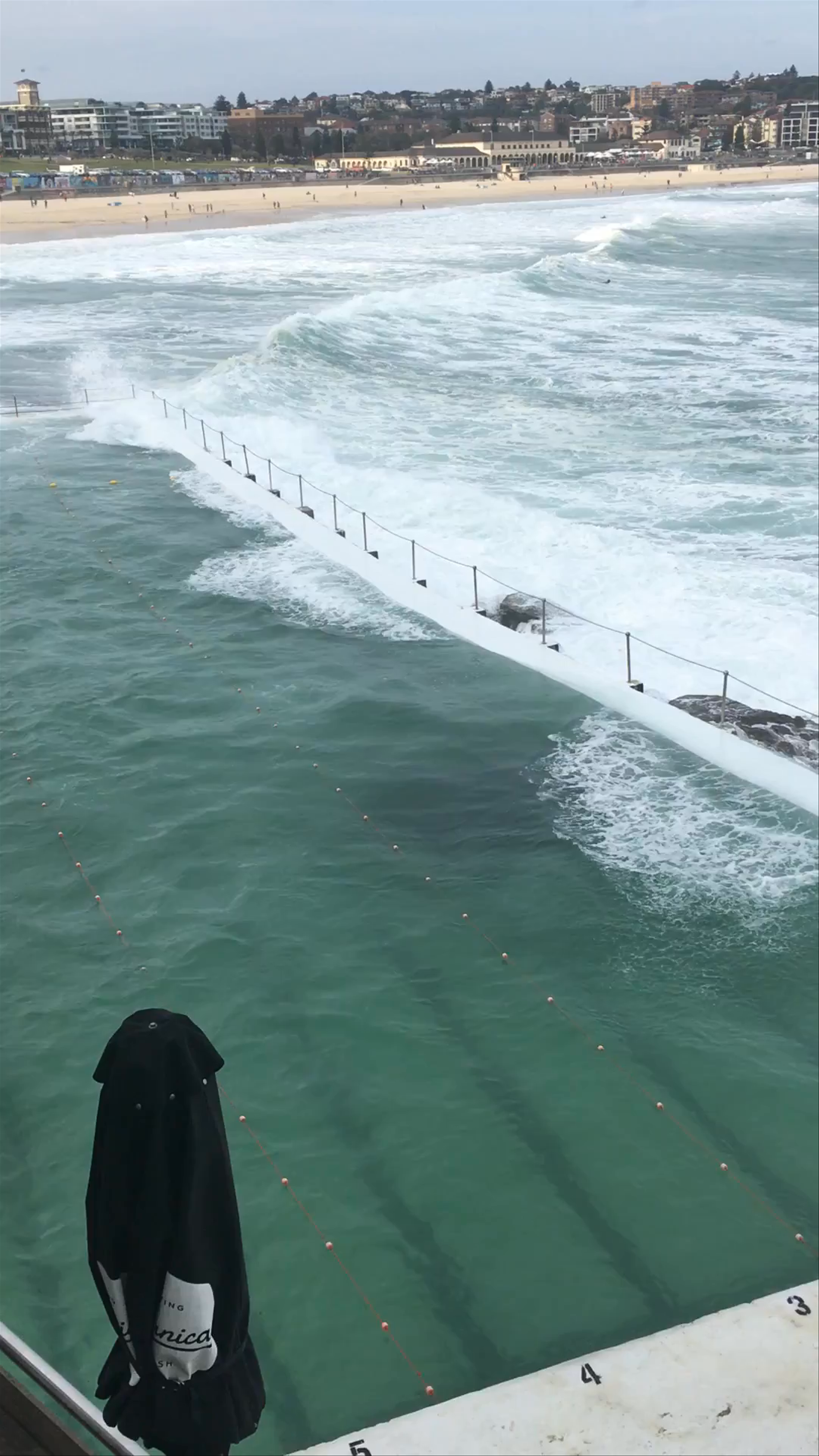 Bondi Icebergs POOL