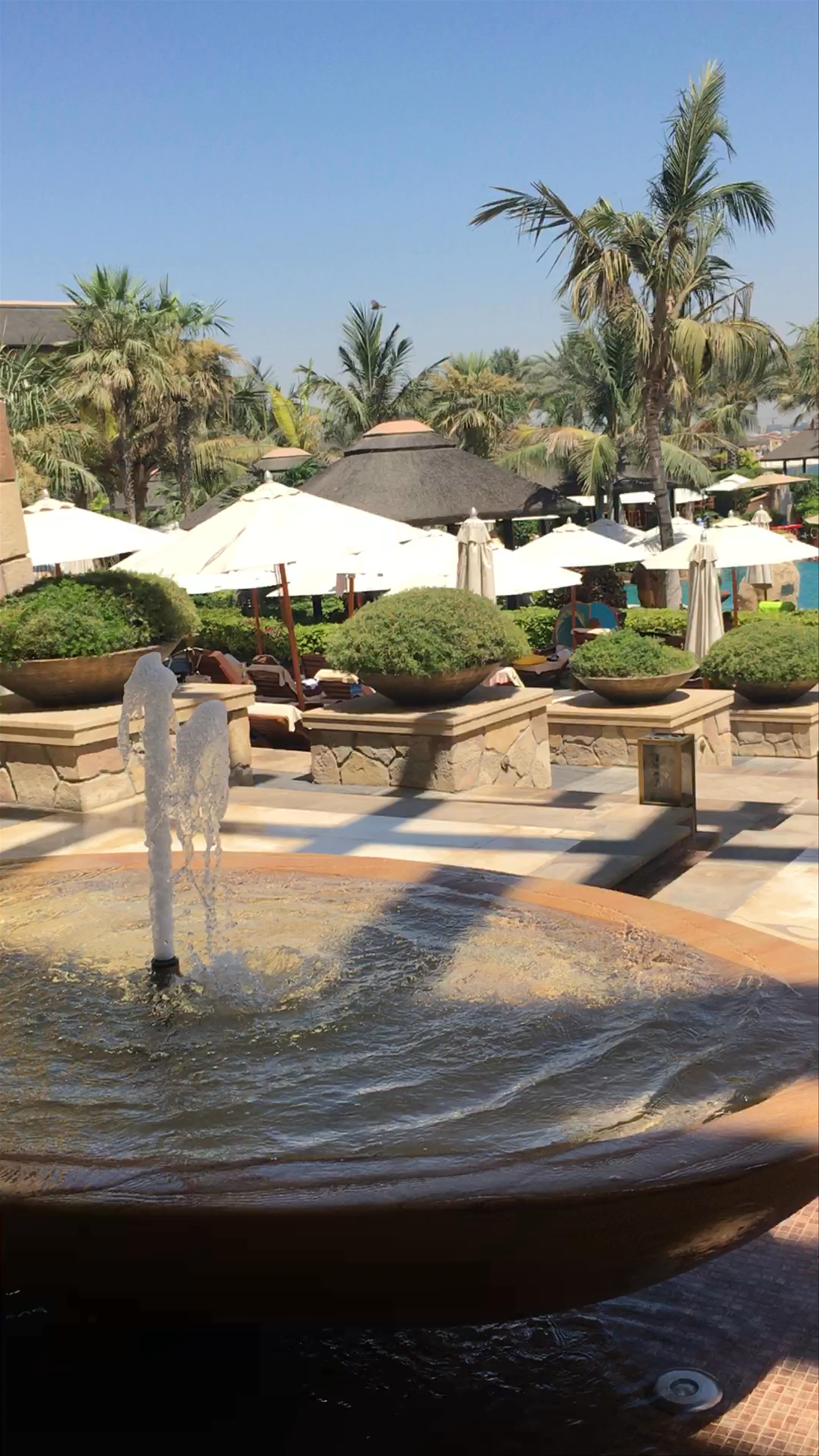 Luxurious Poolside Escape at Sofitel Dubai The Palm