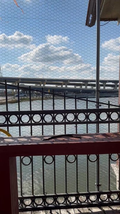 Pier 8 - A nice day to eat by the water. }:{ - Seafood Markets Near Me - Seabrook, Texas