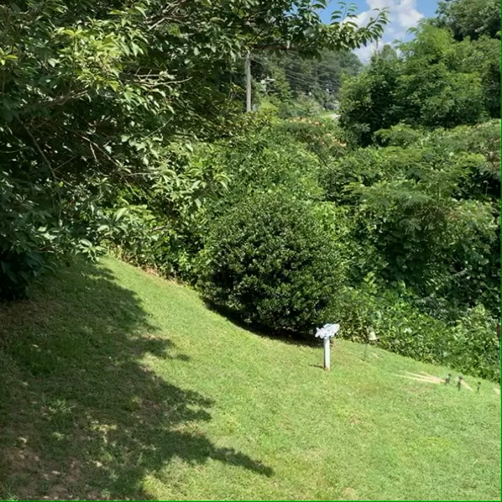 Carter Lodge - Amazing views - Hotels Near Me - Chimney Rock, North Carolina