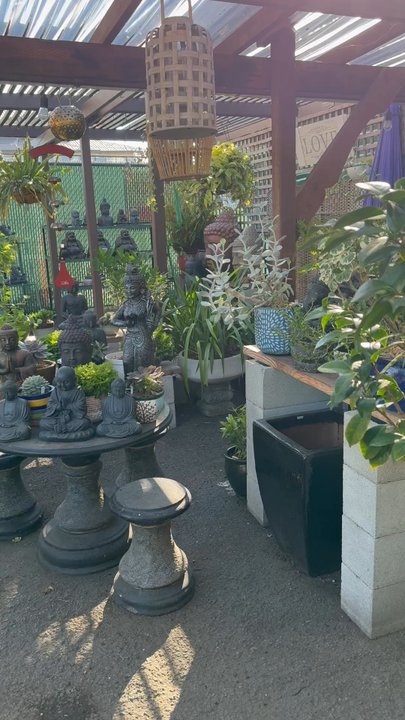 Routes Gallery - Art Galleries Near Me - San Rafael, California