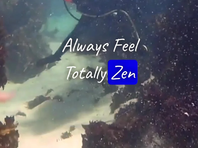 Ocean Armour ad