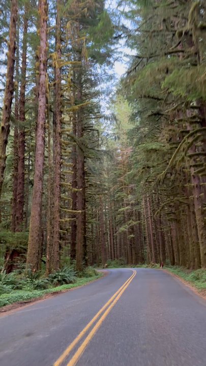 Hoh Campground - Campgrounds Near Me - WA, Washington