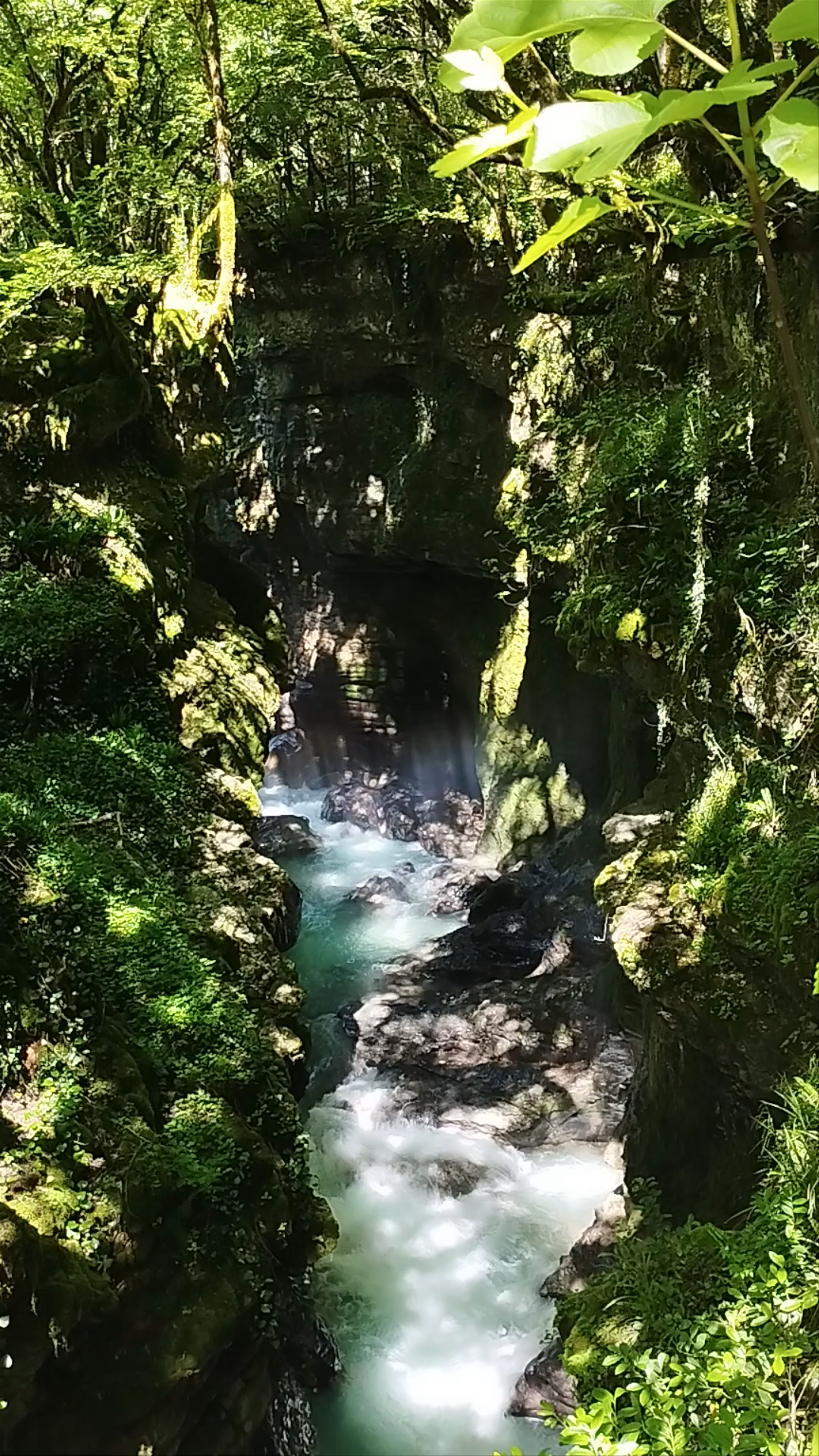 Martvili Canyon Waterfall Adventure: Immersive Nature in Georgia