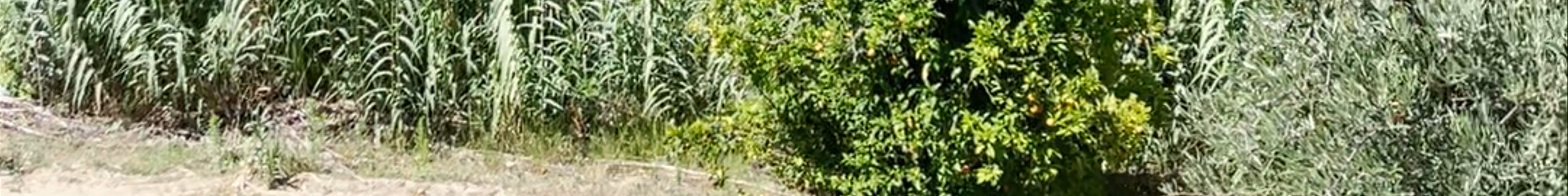 Tours & experiences in Pinhão