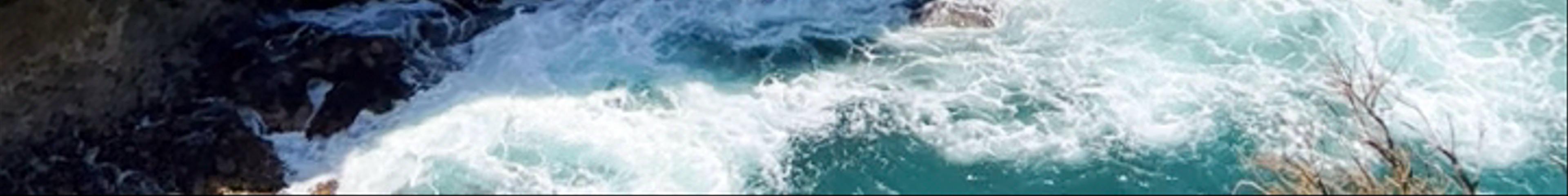 Tours & experiences in Port Campbell