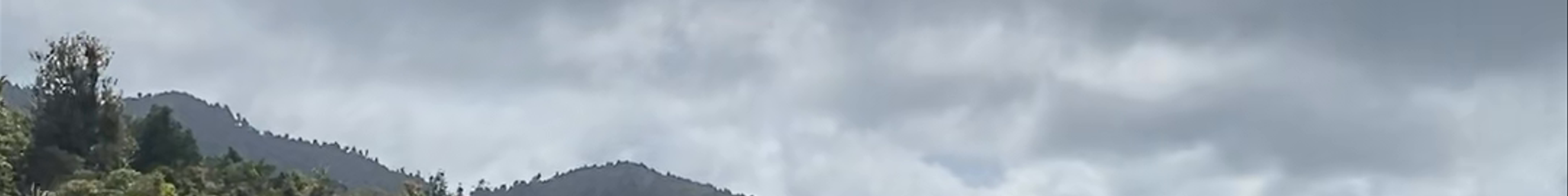 Tours & experiences in Coromandel