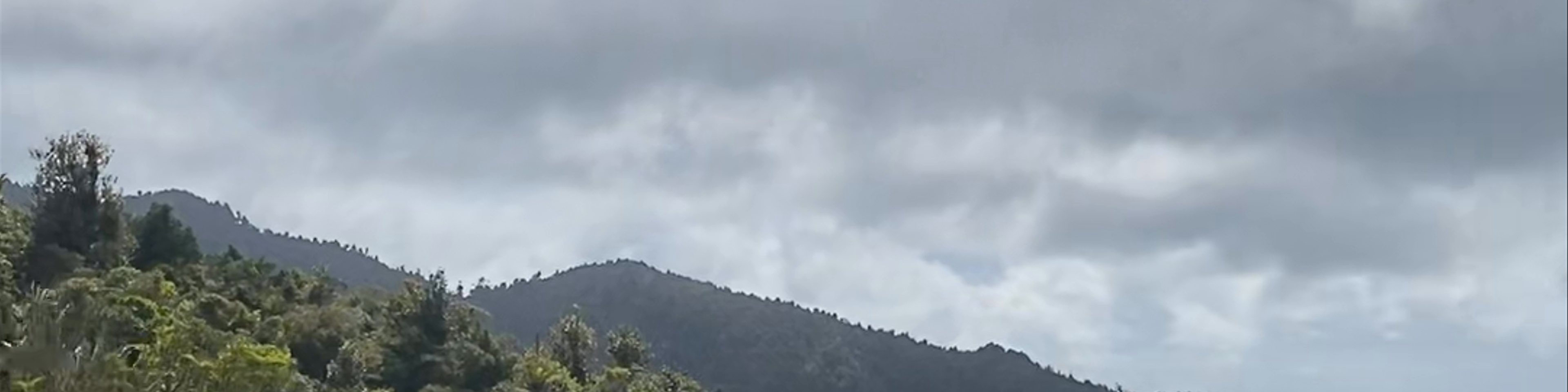 Coromandel