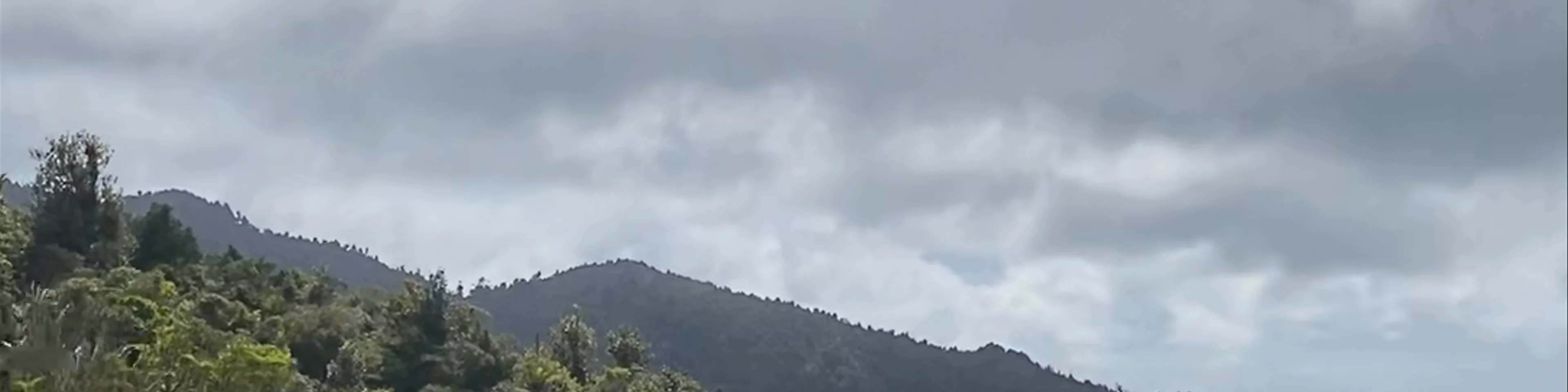 Scenic Lookout Whangapoua Road