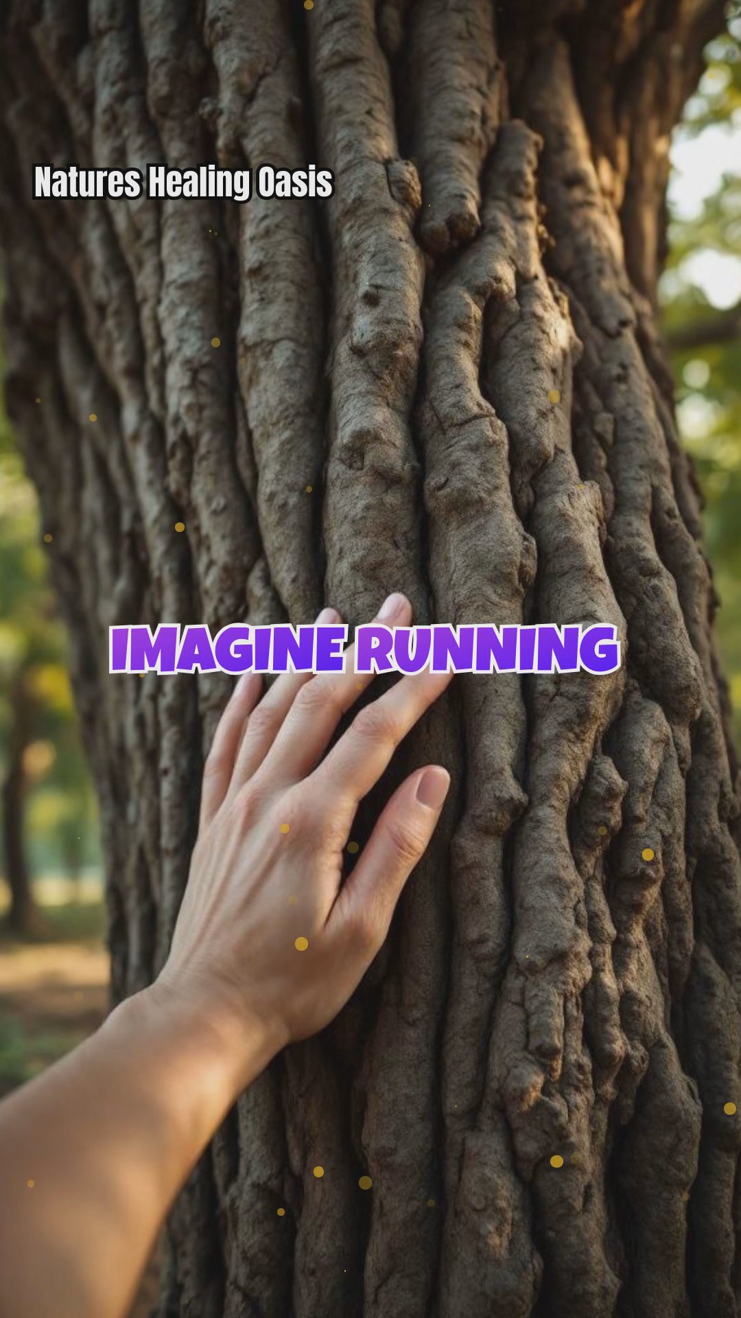 How Tree Bark Textures Influence Our Emotions and Energy