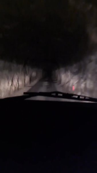 Photo of Volunteering on an i