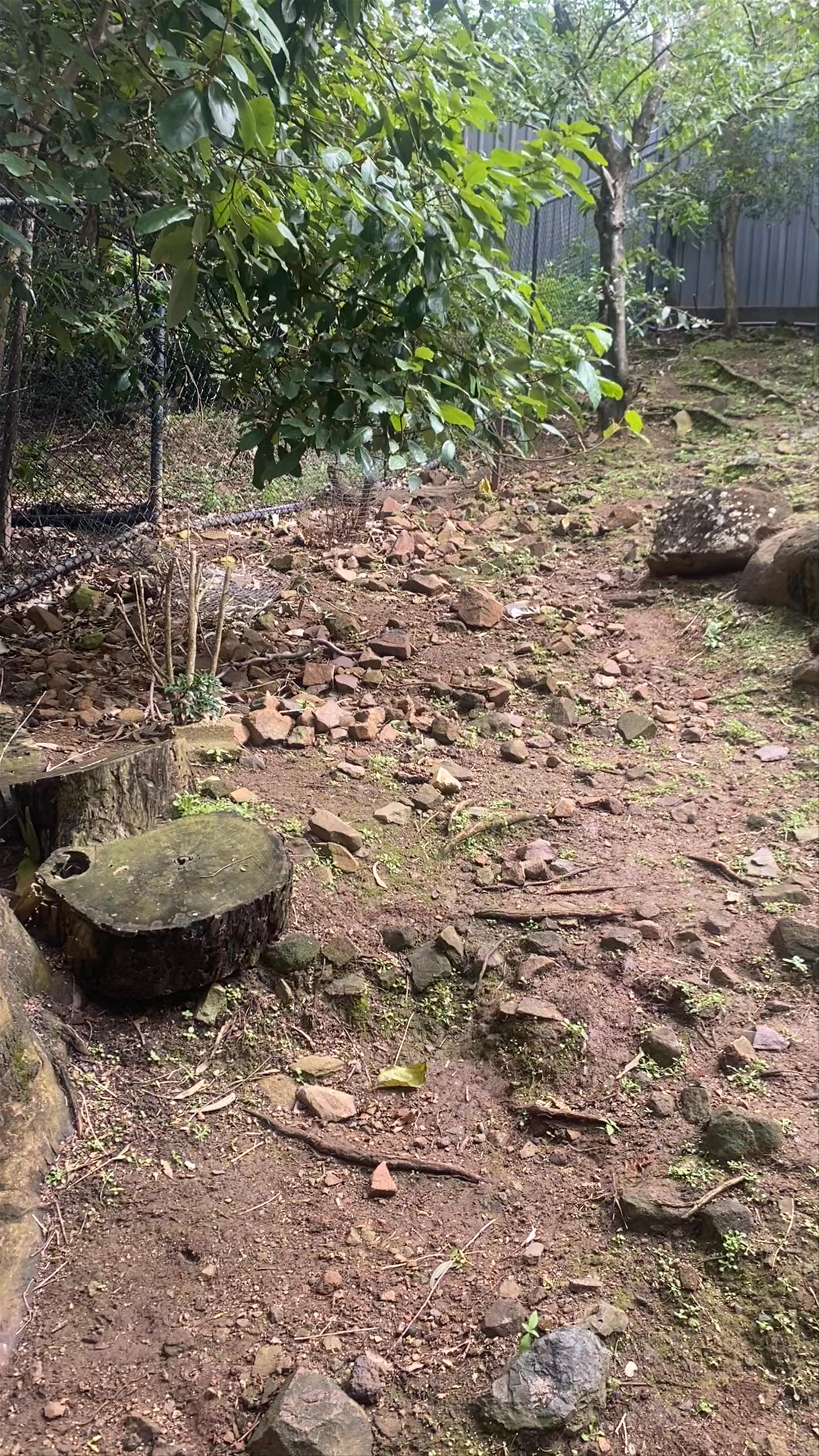 Hamilton Island Wildlife Habitat: Quiet Natural Retreat in the Whitsundays
