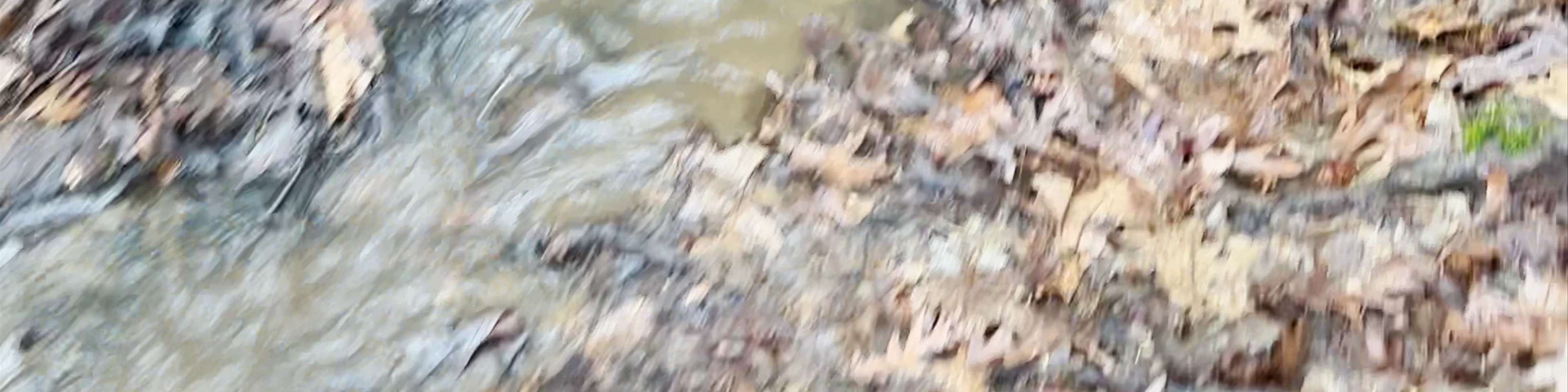 Starved Rock State Park