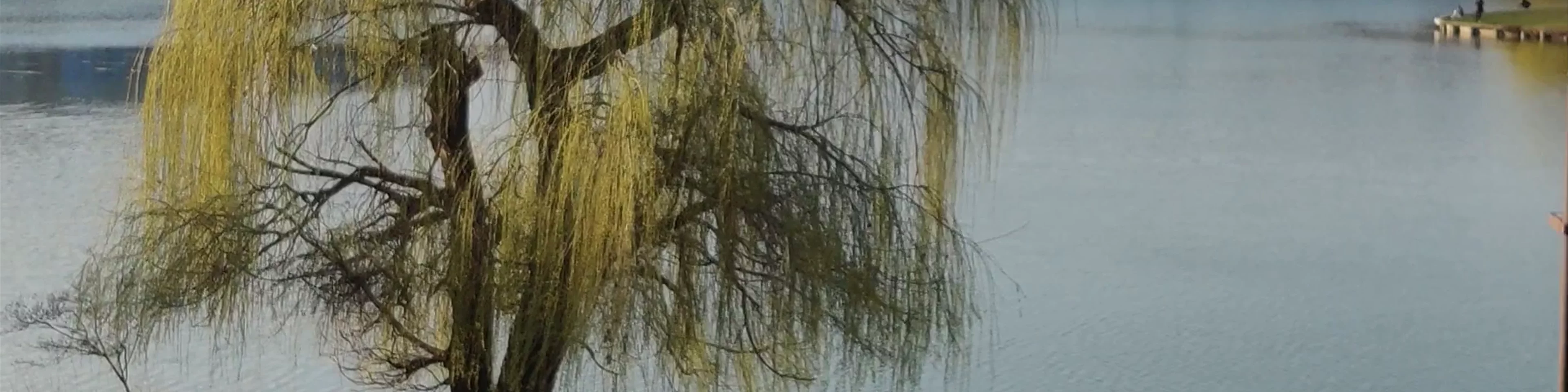 Iulius Parc