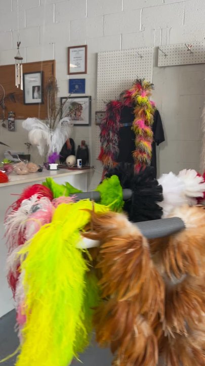 Rainbow Feathers Company - Costumes Near Me - Las Vegas, Nevada