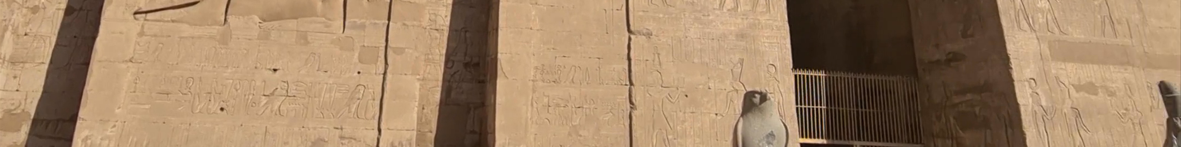 Tours & experiences in Edfu