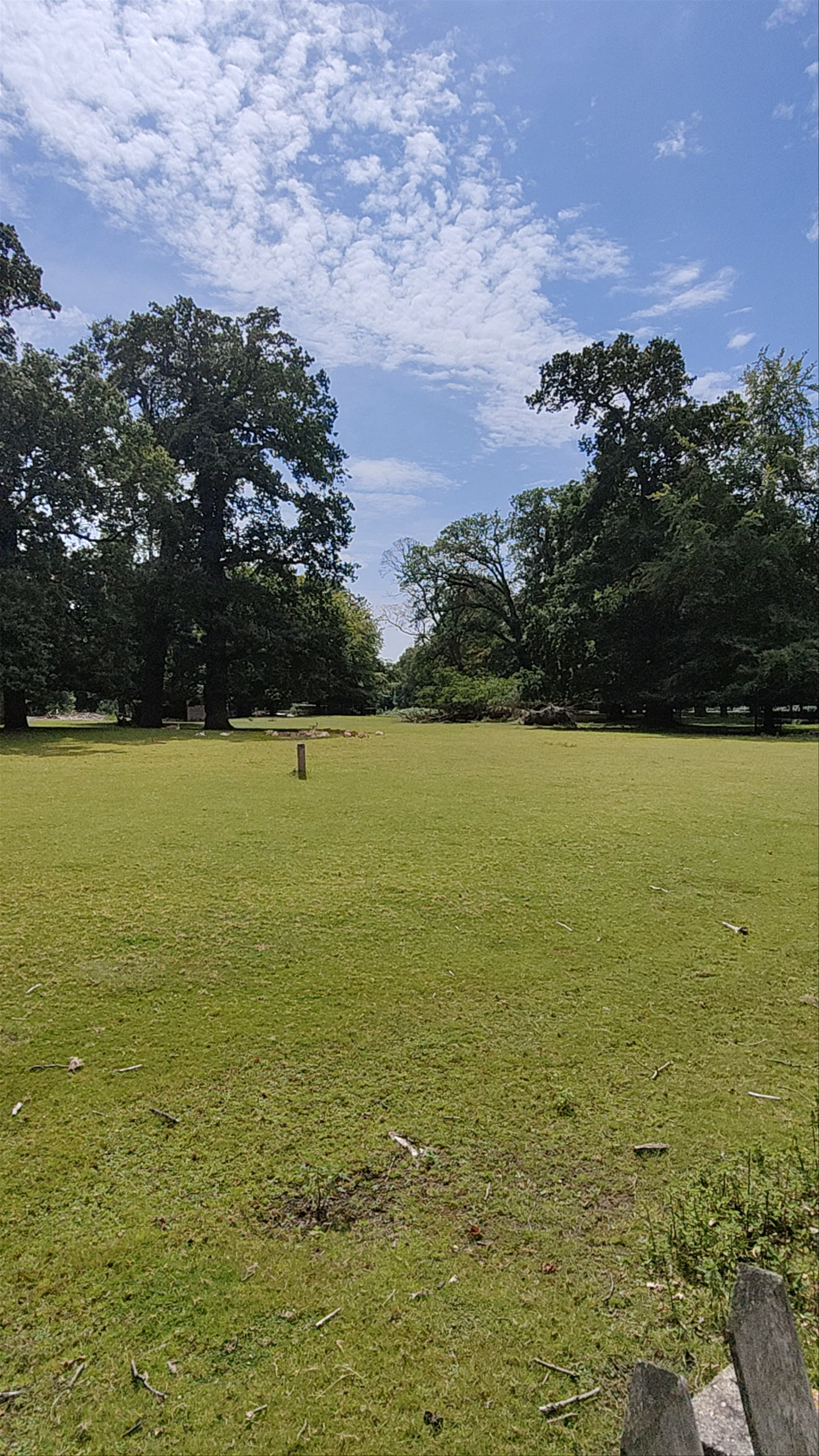 Theehuis de Haarlemmerhout: Peaceful Green Escape in Haarlem