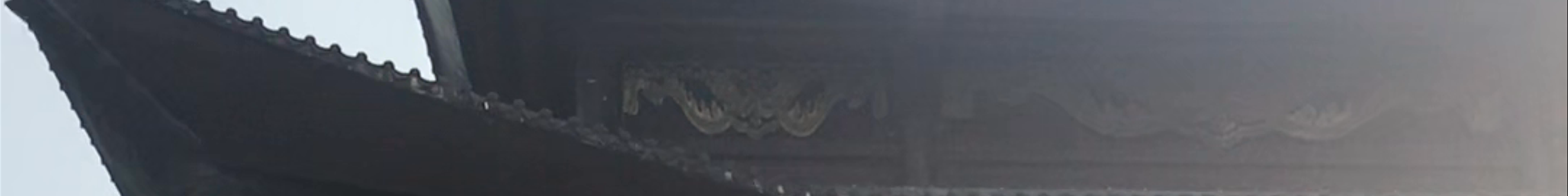 Tours & experiences in Bỉm Sơn