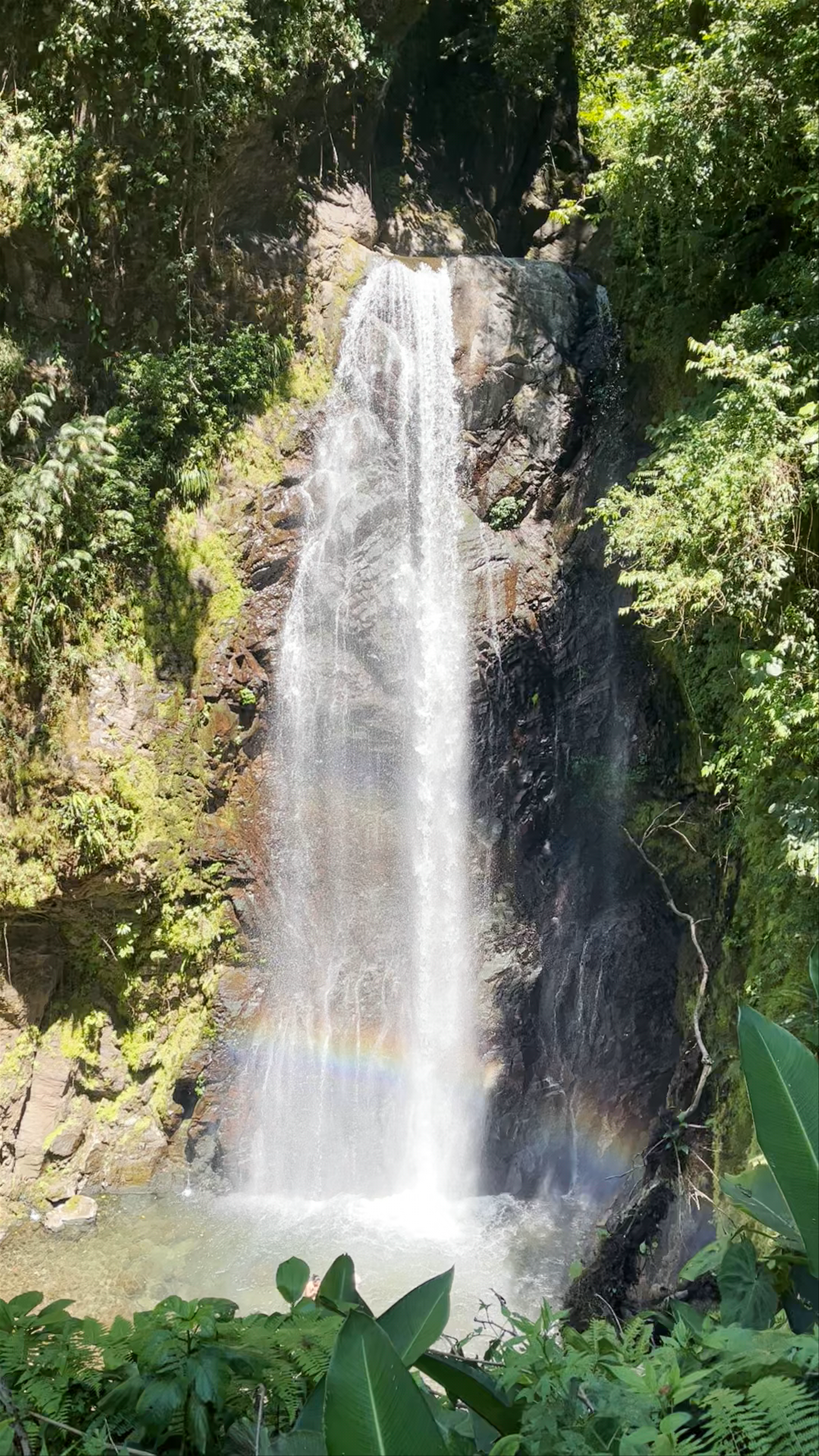 El Tigre Waterfalls Monteverde